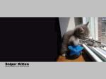 se chat et un houf